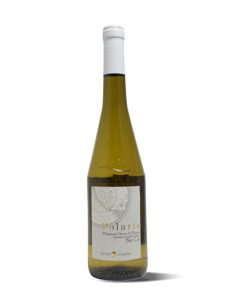 photograph of wine bottle