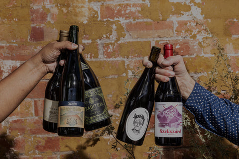 Discover a world of wine