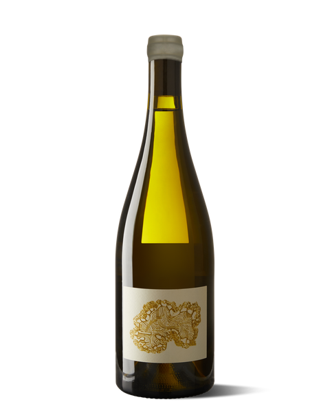 photograph of bottle of wine