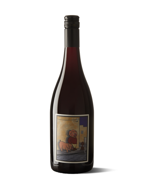 photograph of wine bottle