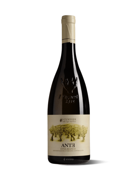 photograph of wine bottle