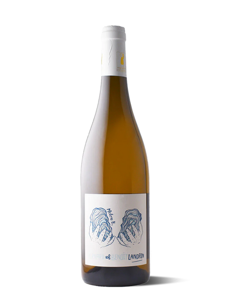 photograph of wine bottle