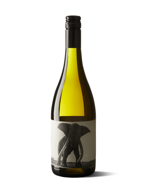 photograph of bottle of wine