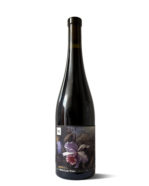 photograph of wine bottle