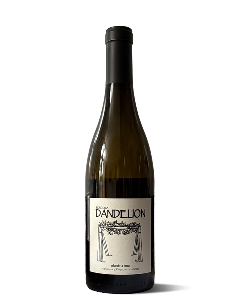photograph of wine bottle