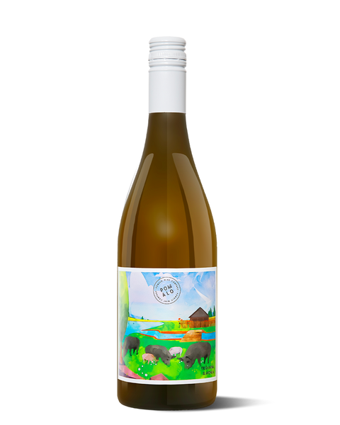 photograph of wine bottle