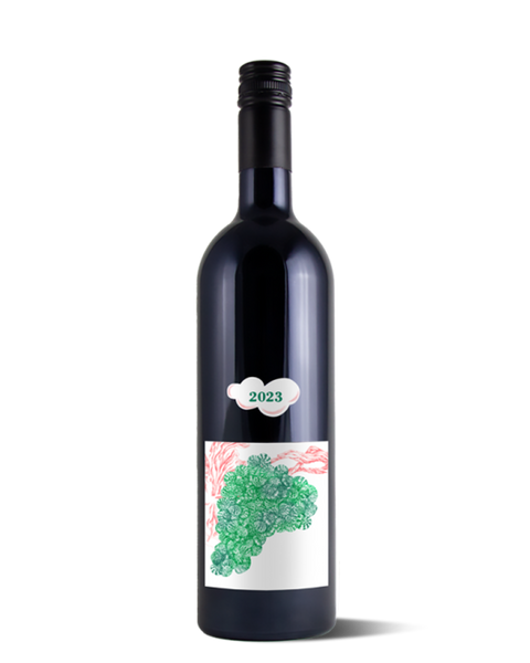 photograph of wine bottle