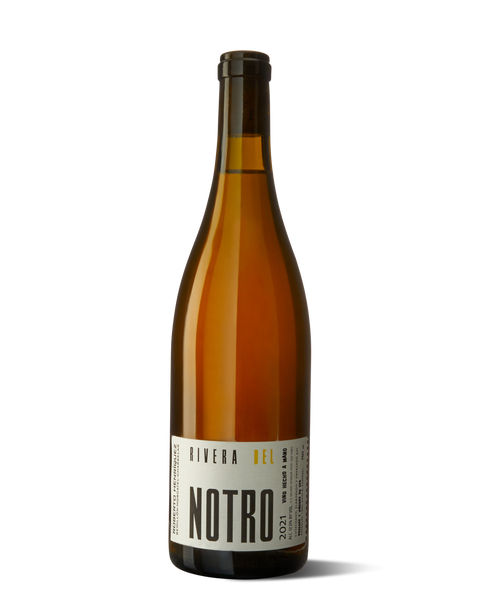 Roberto Henriquez Rivera del Notro Blanco