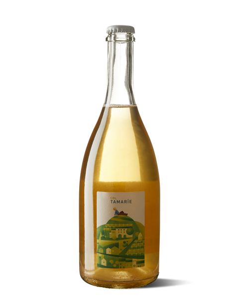 photograph of bottle of wine