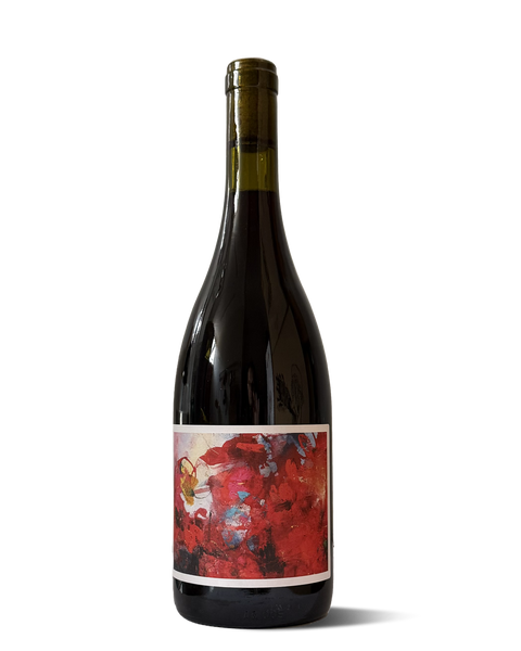 photograph of wine bottle