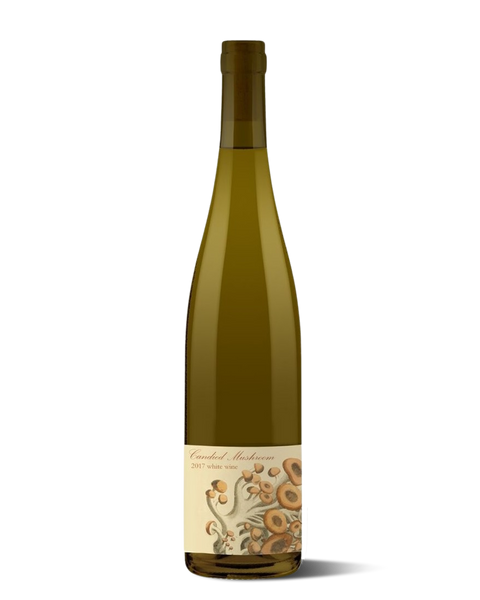 photograph of tall wine bottle