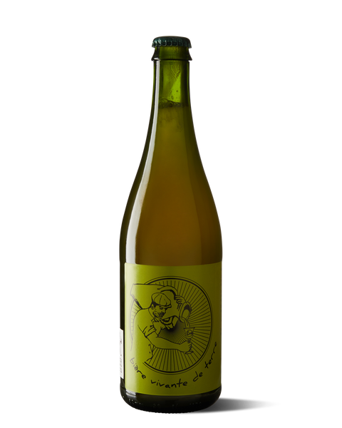 photograph of bottle of beer