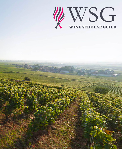 French Wine Essentials, Oct–Nov 2025
