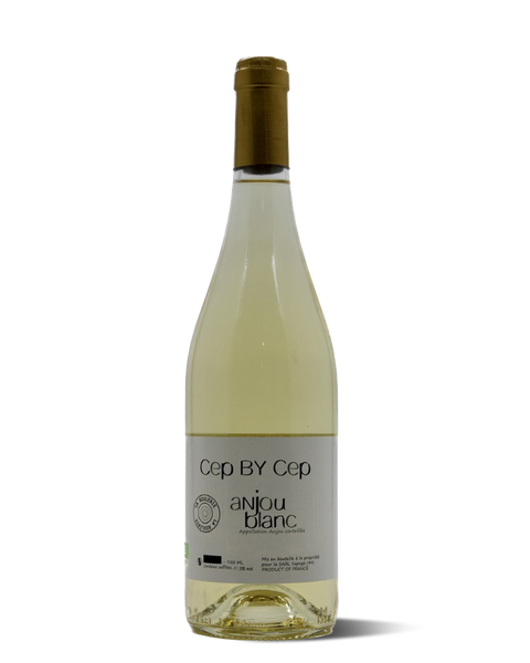photograph of wine bottle