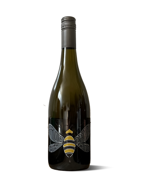 photograph of wine bottle