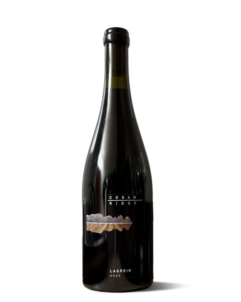 photograph of wine bottle