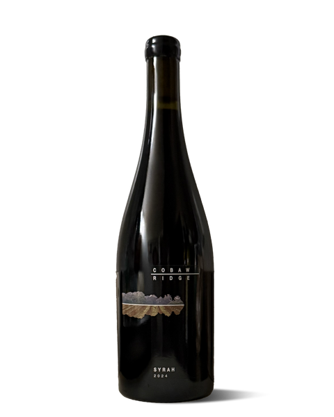 photograph of wine bottle