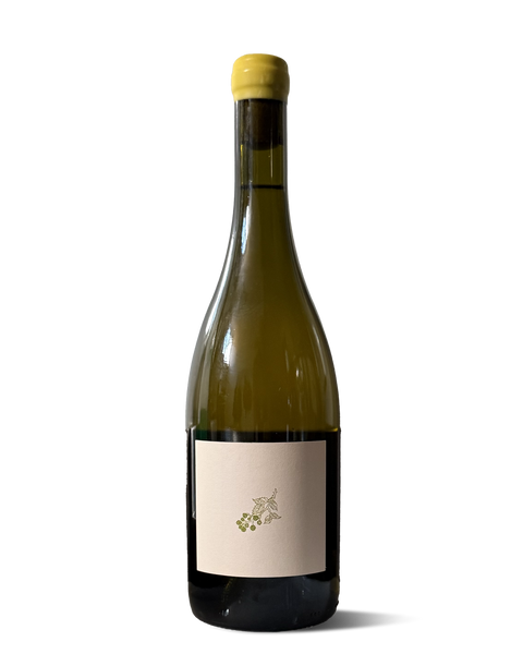 photograph of wine bottle