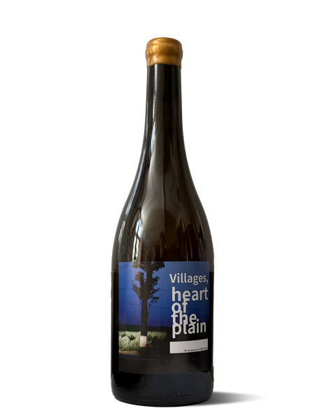 photograph of wine bottle