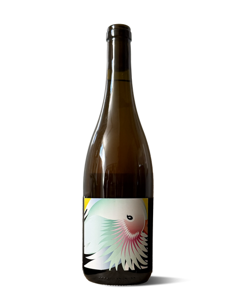 photograph of wine bottle