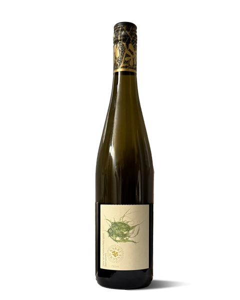 photograph of wine bottle