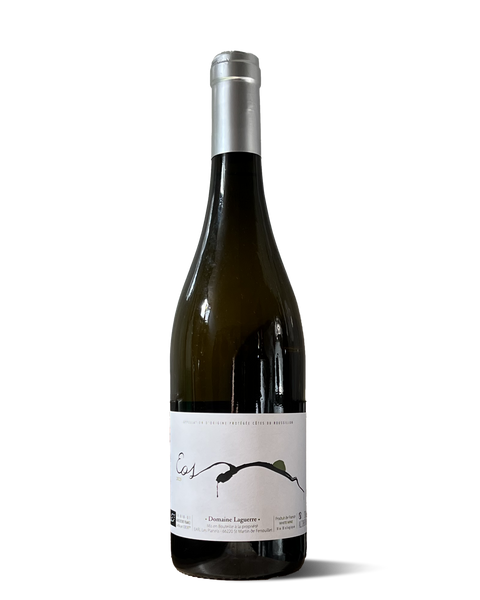 photograph of wine bottle