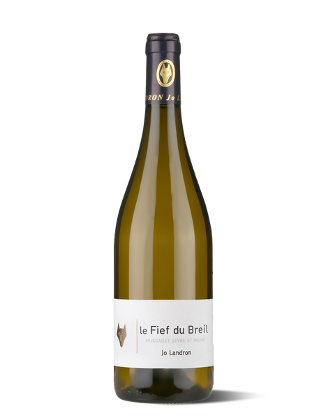 photograph of wine bottle