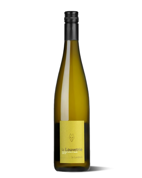 photograph of wine bottle