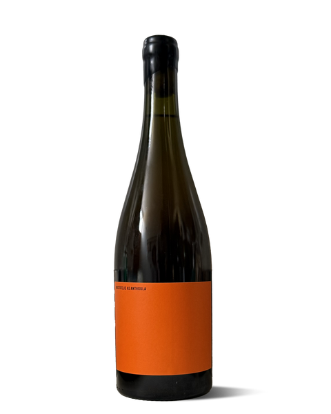 photograph of wine bottle