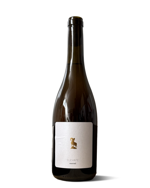 photograph of wine bottle