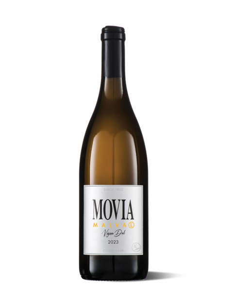 photograph of wine bottle