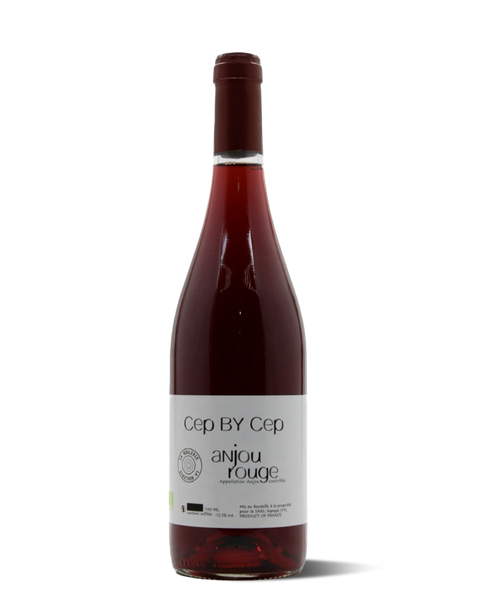 photograph of wine bottle