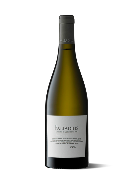 photograph of wine bottle