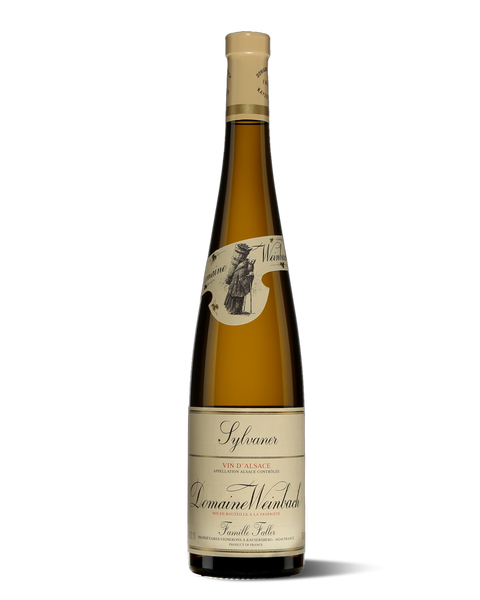 photograph of tall wine bottle